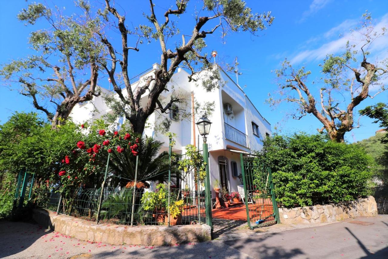 La Casetta Di Emma Sorrento Ngoại thất bức ảnh